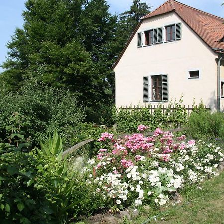 Poncet'Sches Herrenhaus Dresden Luaran gambar