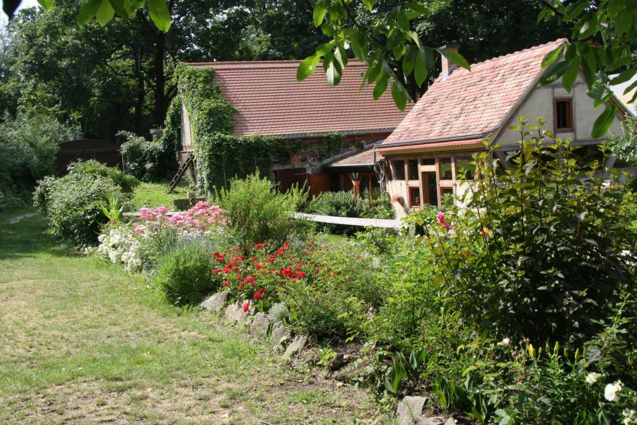 Poncet'Sches Herrenhaus Dresden Luaran gambar